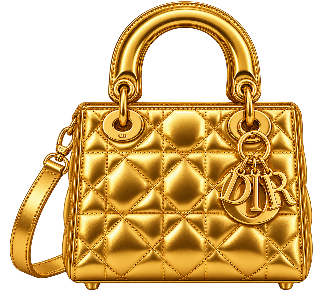 Dior Free Starter Pocket